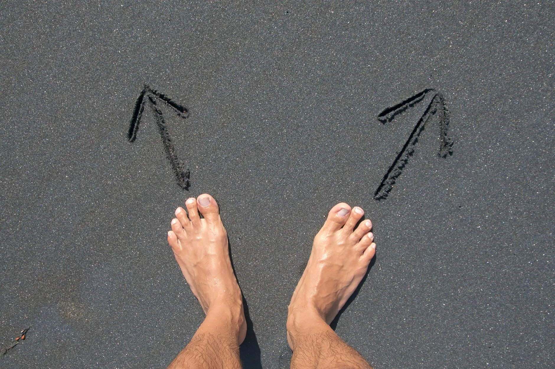 Course vs. Membership: Which Model Is Right for You