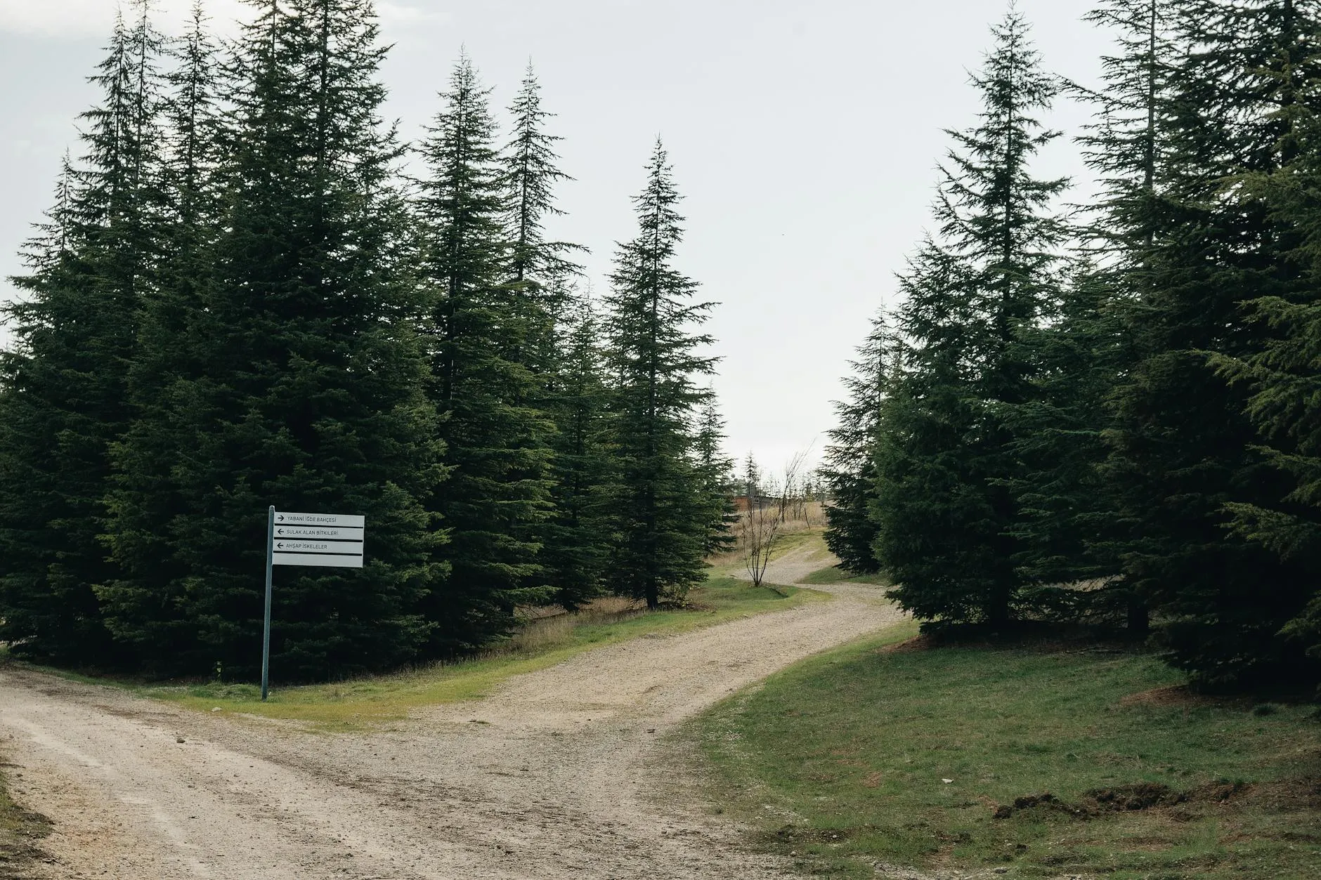 Decision Framework: Is Udemy Right for You?